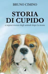 Storia di Cupido: e sopravvivenza degli animali dopo la morte