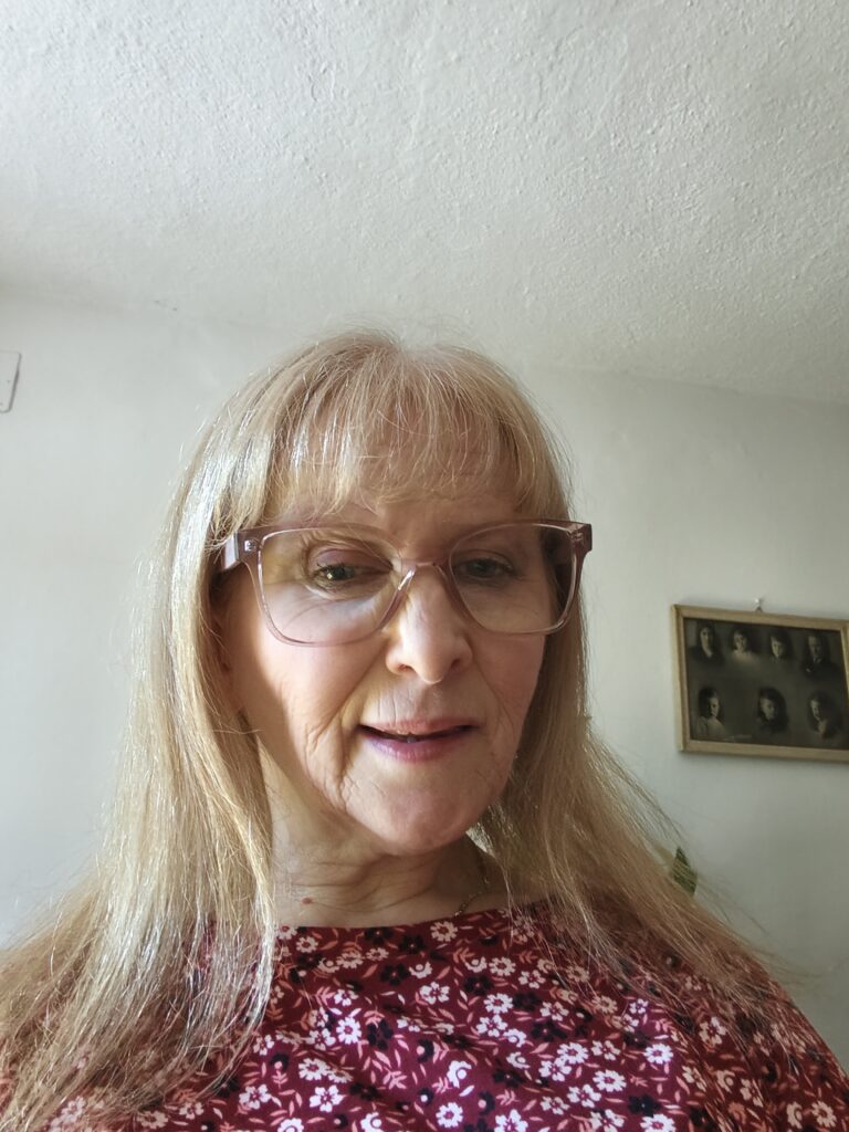 Vellise Pilotti